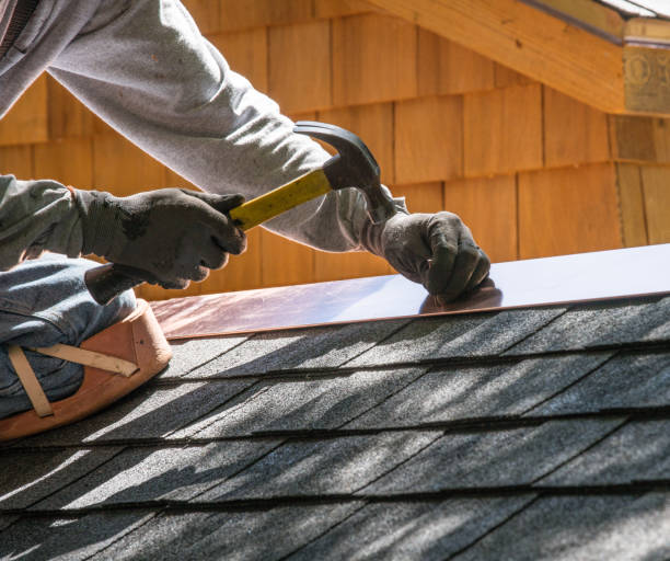 Roof Gutter Cleaning in Lyons, IL